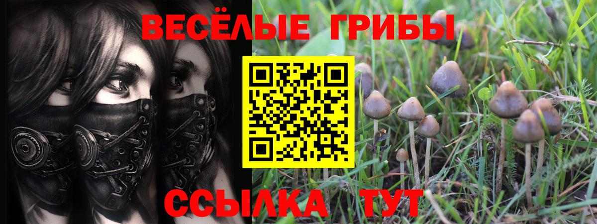 Галлюциногенные грибы прущие грибы Кыштым