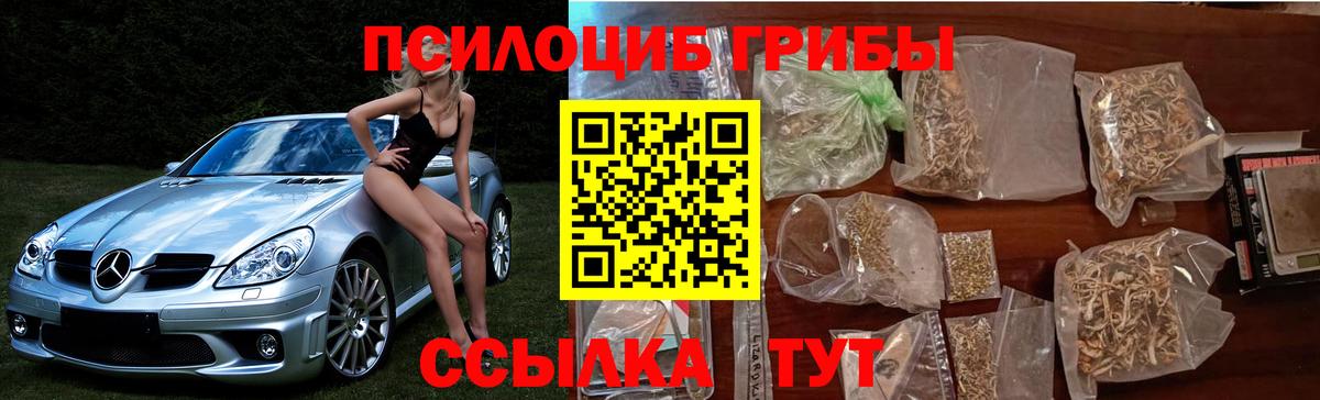 Кыштым  Псилоцибиновые грибы Psilocybe  Вход с VPN  хочу   Галлюциногенные грибы MAGIC MUSHROOMS 